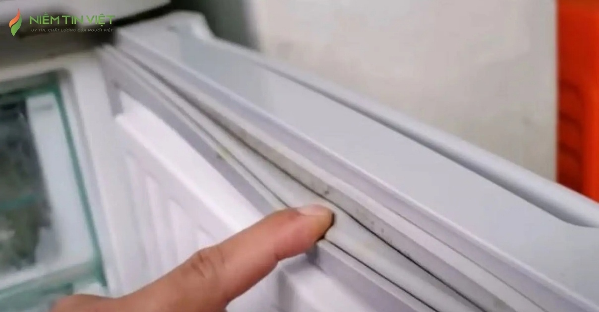 tủ lạnh bị mốc